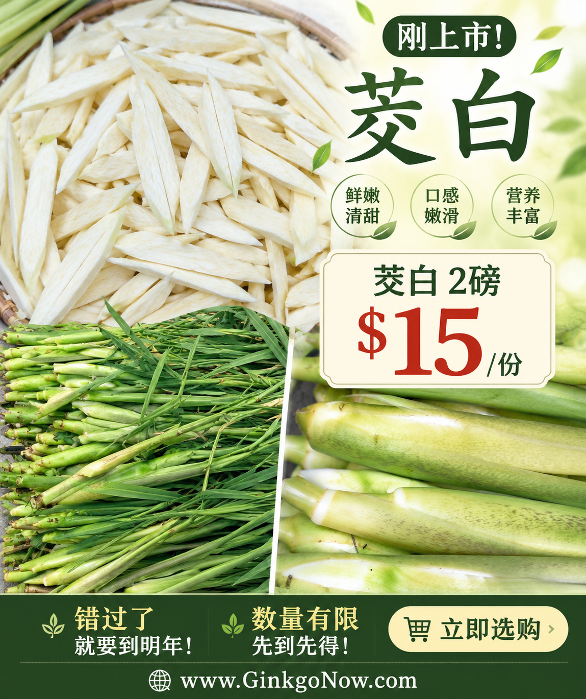 Fresh Water Bamboo Shoots