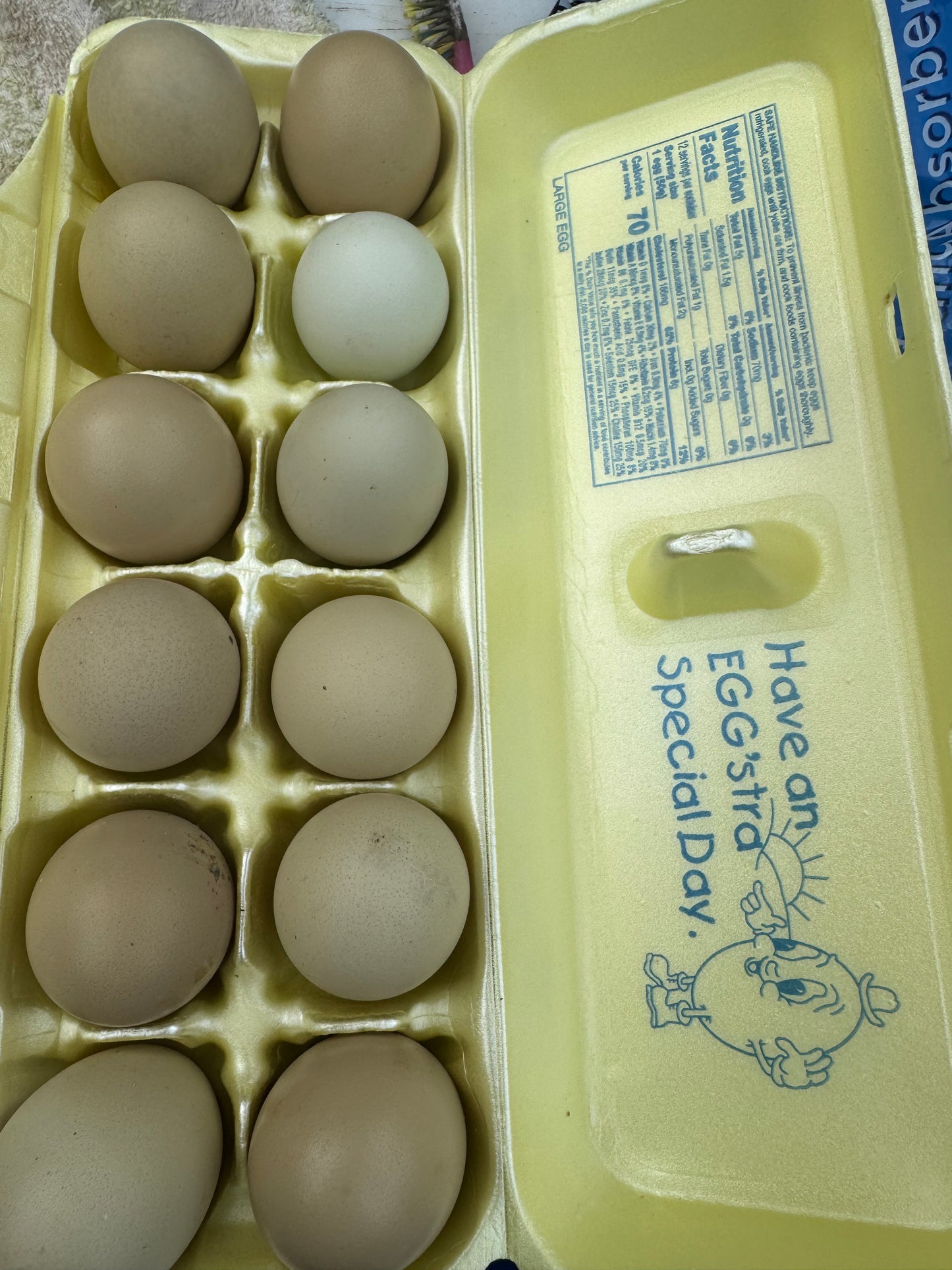 Organic Black Chicken Eggs