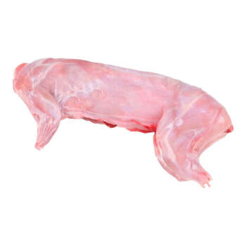 Frozen rabbit 1.8-2 lbs