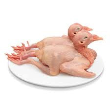 Frozen Squab 1 Piece