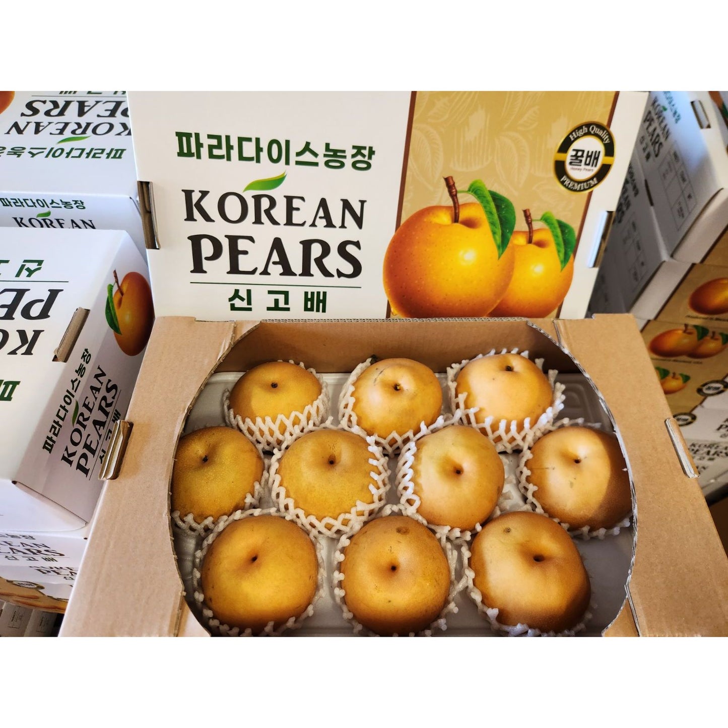 ⚡️ Korean Large Pears 10 pcs/box