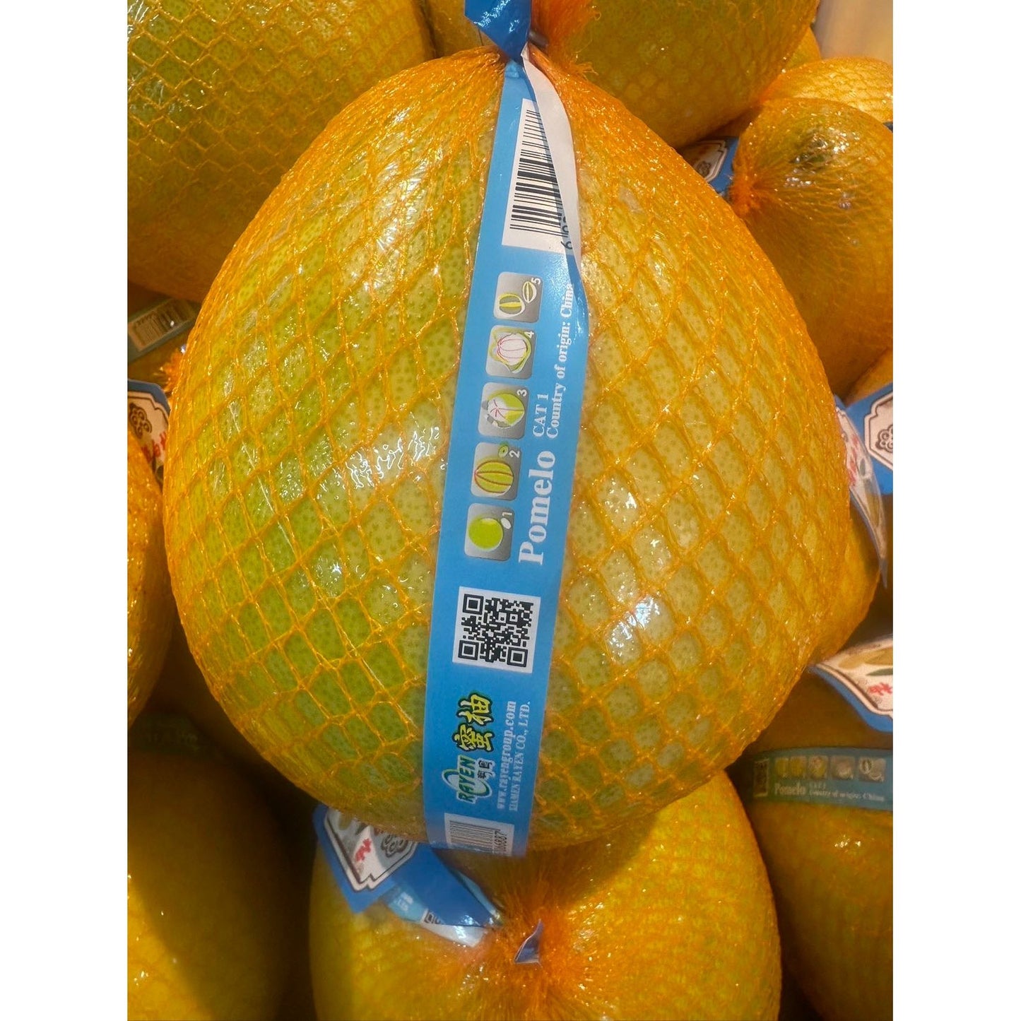 Honey Pomelo, 4-4.5 lbs