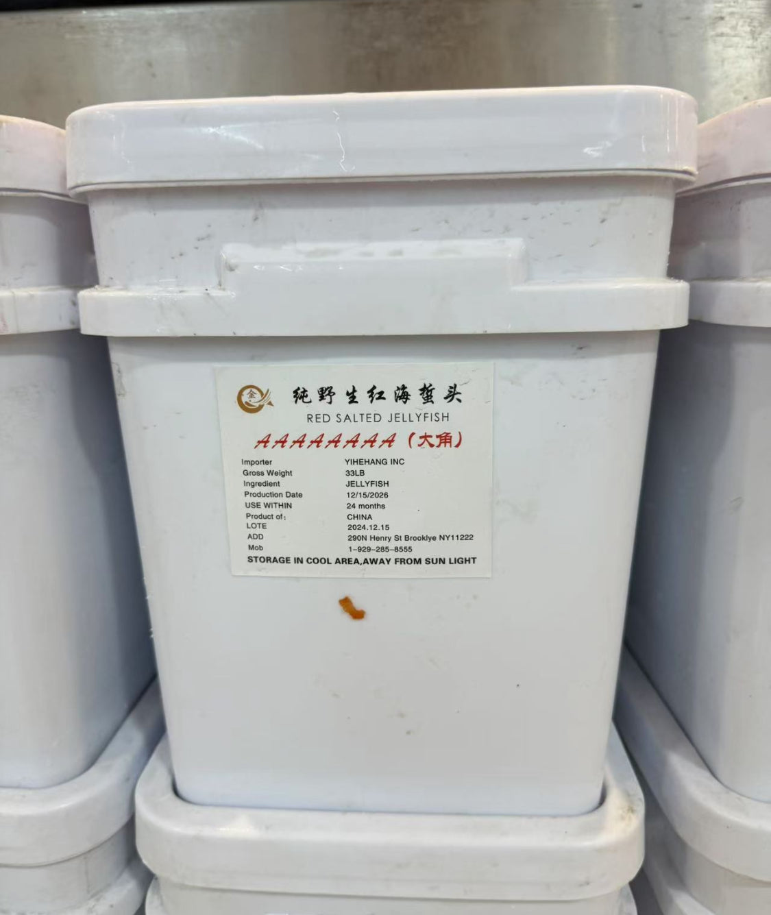 American Jellyfish Heads (Gross Weight 33 lbs / Barrel)