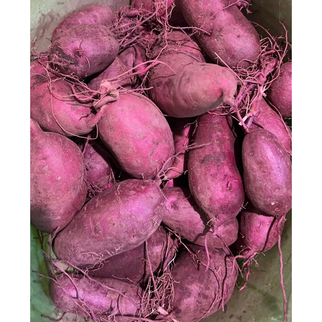 Melon - Organic Sweet Potato (Yam)