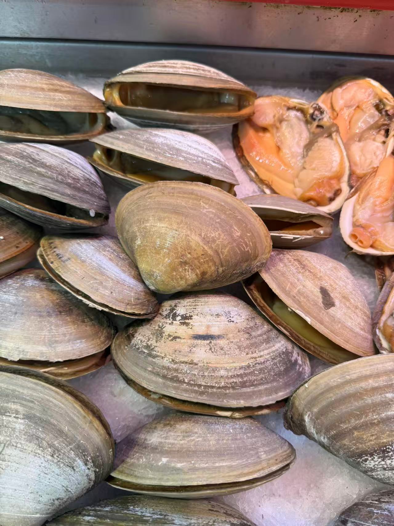 001-Live sea clams, about 5 pounds