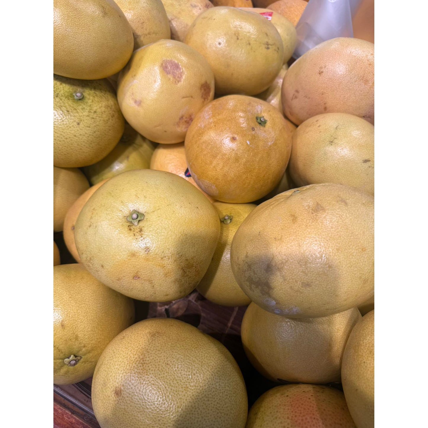 Red Flesh Shatian Pomelo 3.5 lbs