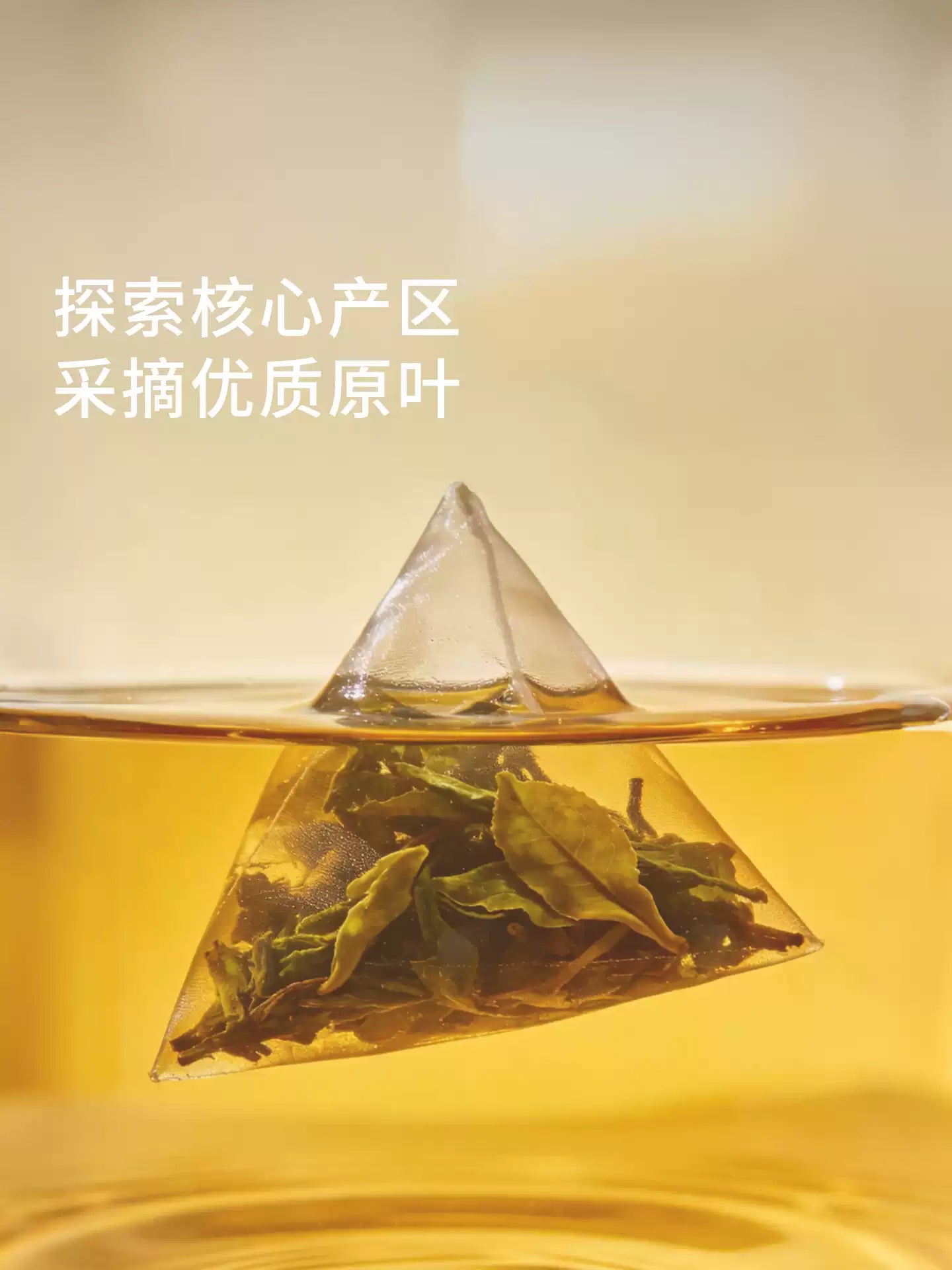 1- CHAGEE Overlord Tea Ji Cold Brew Tea Bag Original Leaf Oolong Tea Individually Packaged Green Tea Jasmine Tea