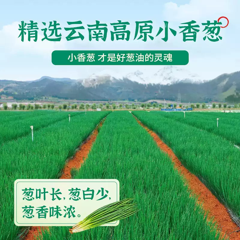 1- Zhongjing Scallion Oil Noodle Sauce Old Shanghai Style for Noodles, Breakfast, Dumplings, Rice 210g