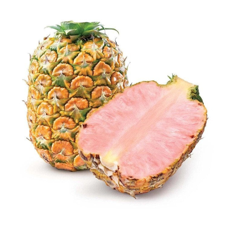 Red flesh pineapple, 1