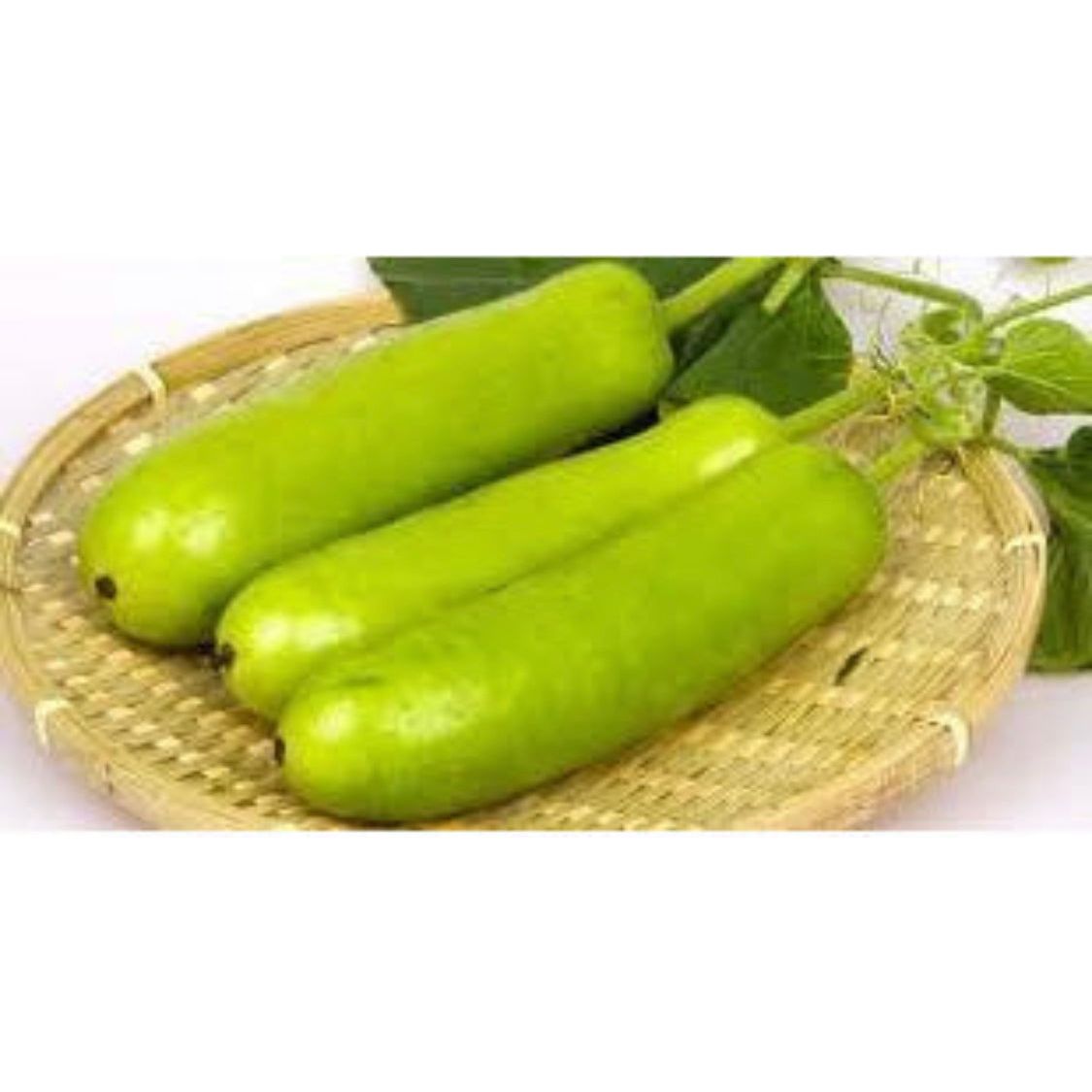 Long melon