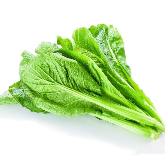 Baby Mustard Greens 【About 2 lbs】