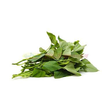 ๐ Seedlings - Organic Sweet Potato Shoots (about 1.2-1.5LB)