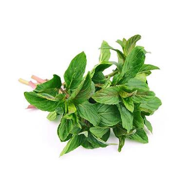 Mint Leaves