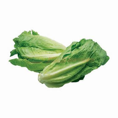 Lettuce - Romaine Lettuce / EA