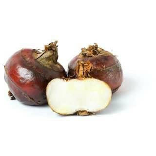 Water Chestnut 1 pound