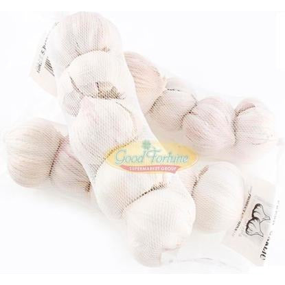 Garlic - Garlic Bulb