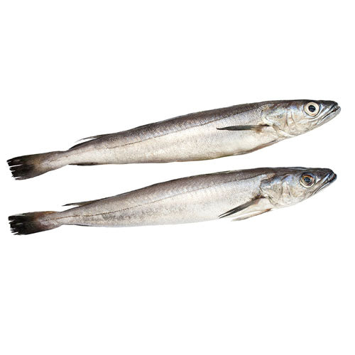 004 - Fresh Stick Fish (4 lbs)