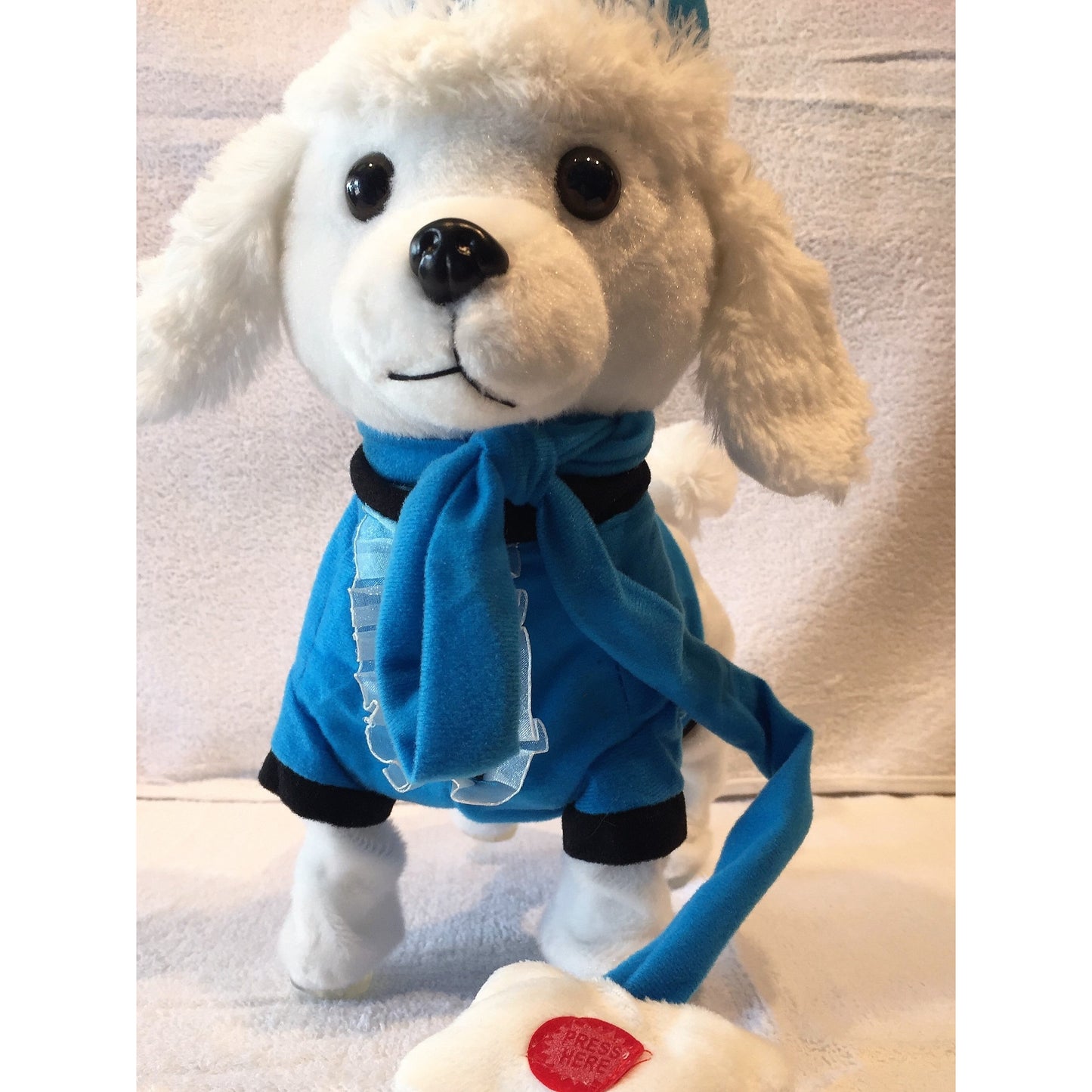 (Can Walk and Sing) Blue Labrador