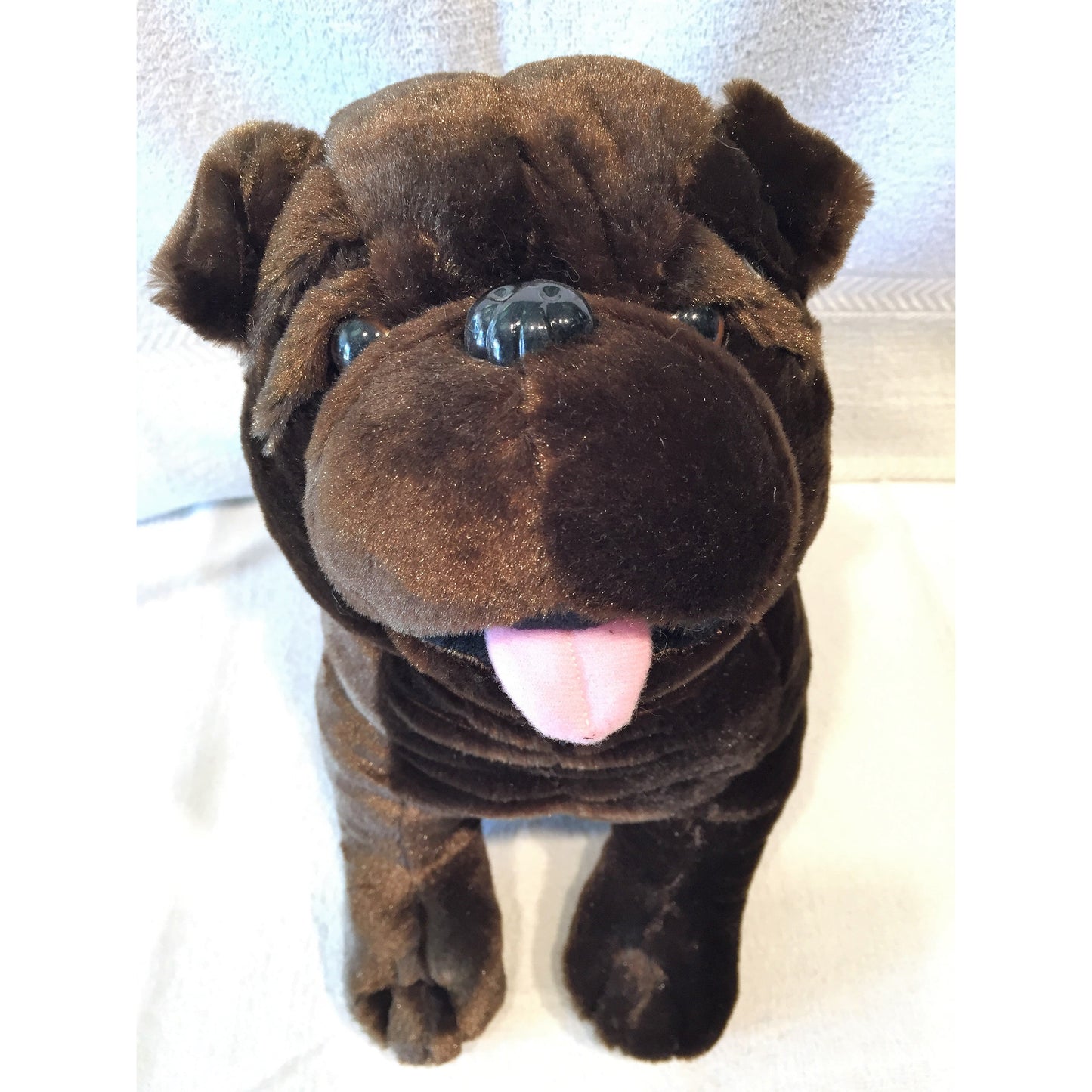 Wrinkled Skin Dog