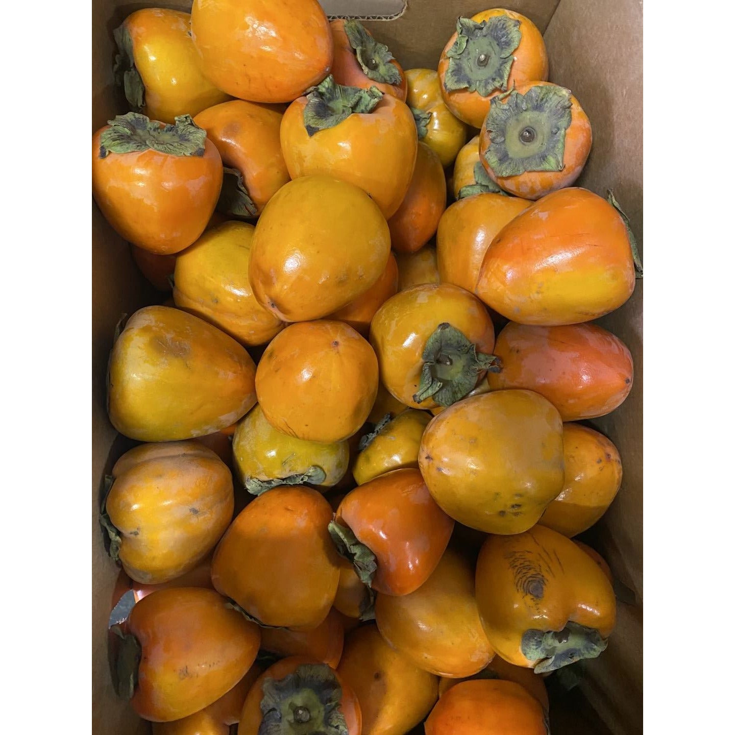 Chicken Heart Persimmons 4.8-5lbs