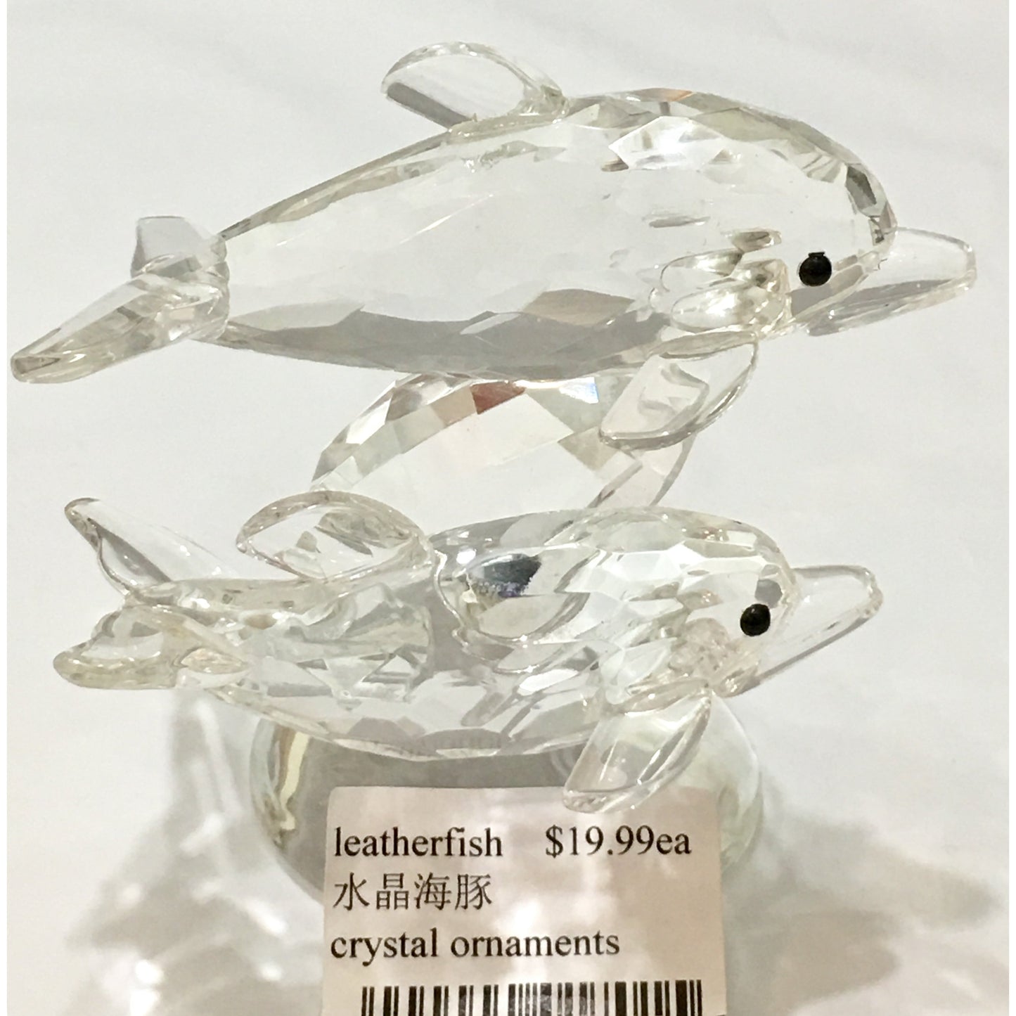 Dolphin