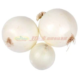 Green Onion - White Onion 1.1-1.3LB