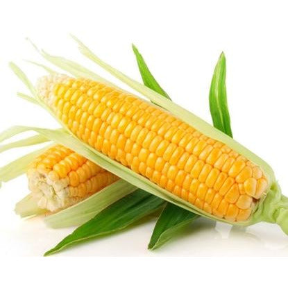1 - Fresh Corn