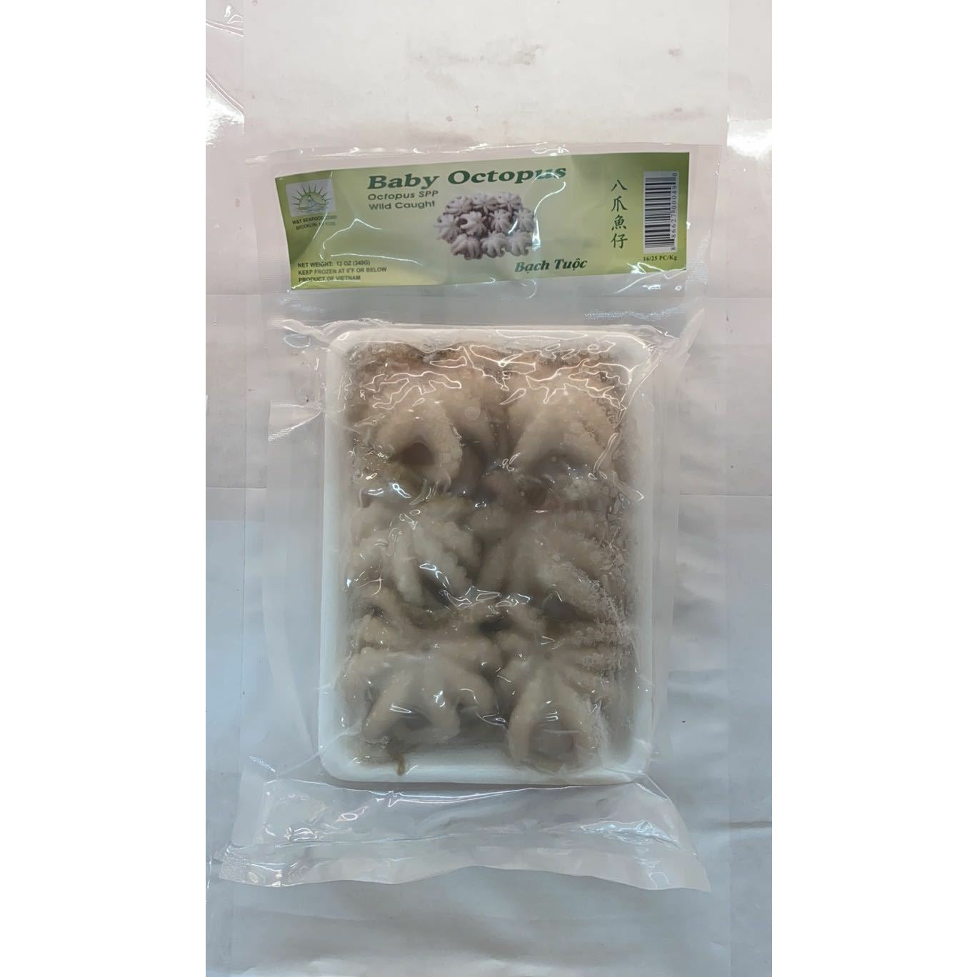 WT Baby Octopus 12 oz
