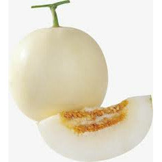 White-skinned Hami melon, 1 piece