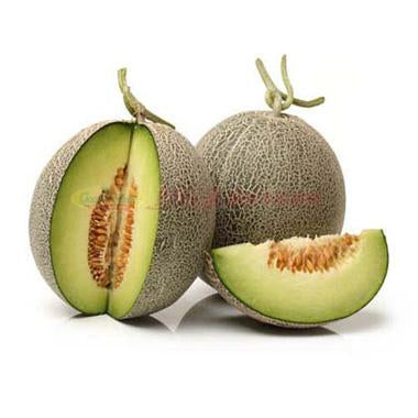 Cantaloupe / each