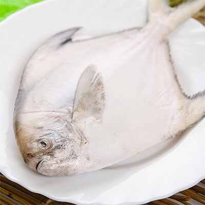 004 - Pomfret (1.3-1.5 lbs)