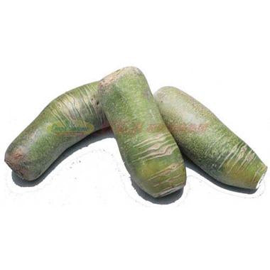 Green Radish 1.3-1.5 LB