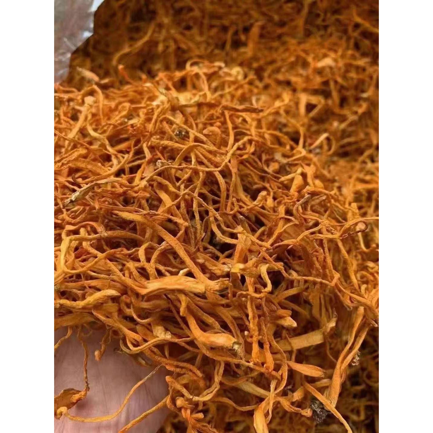 ⚡️Cordyceps Flower 16oz