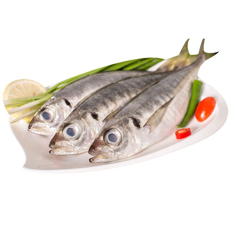 Fresh Balang Fish 1.8-2.3 lbs