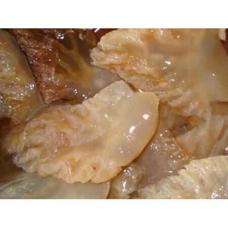 Jellyfish Head (Dalian, Grade A) 0.8-1 pounds