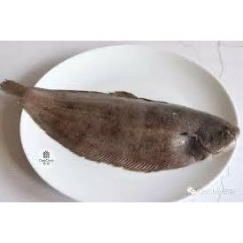 Sole Fish 2.2-2.7 lbs