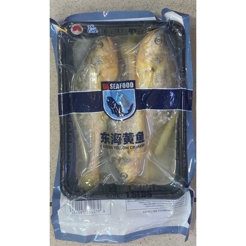 East Sea Three Yellow Croaker Fish 1.5lb