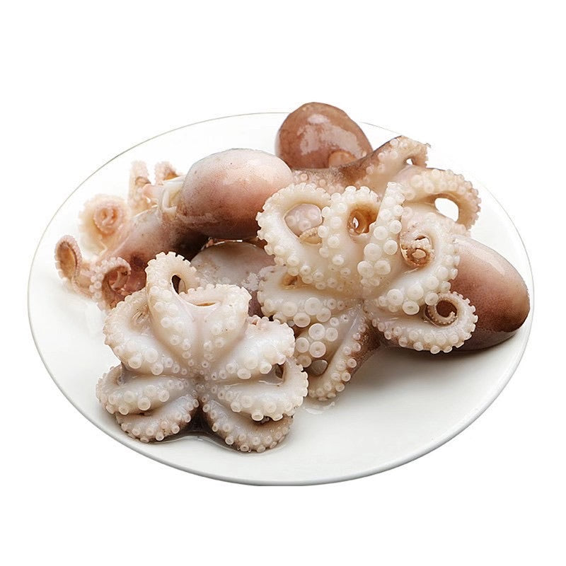 003-Fresh Octopus 0.9-1.1/lb