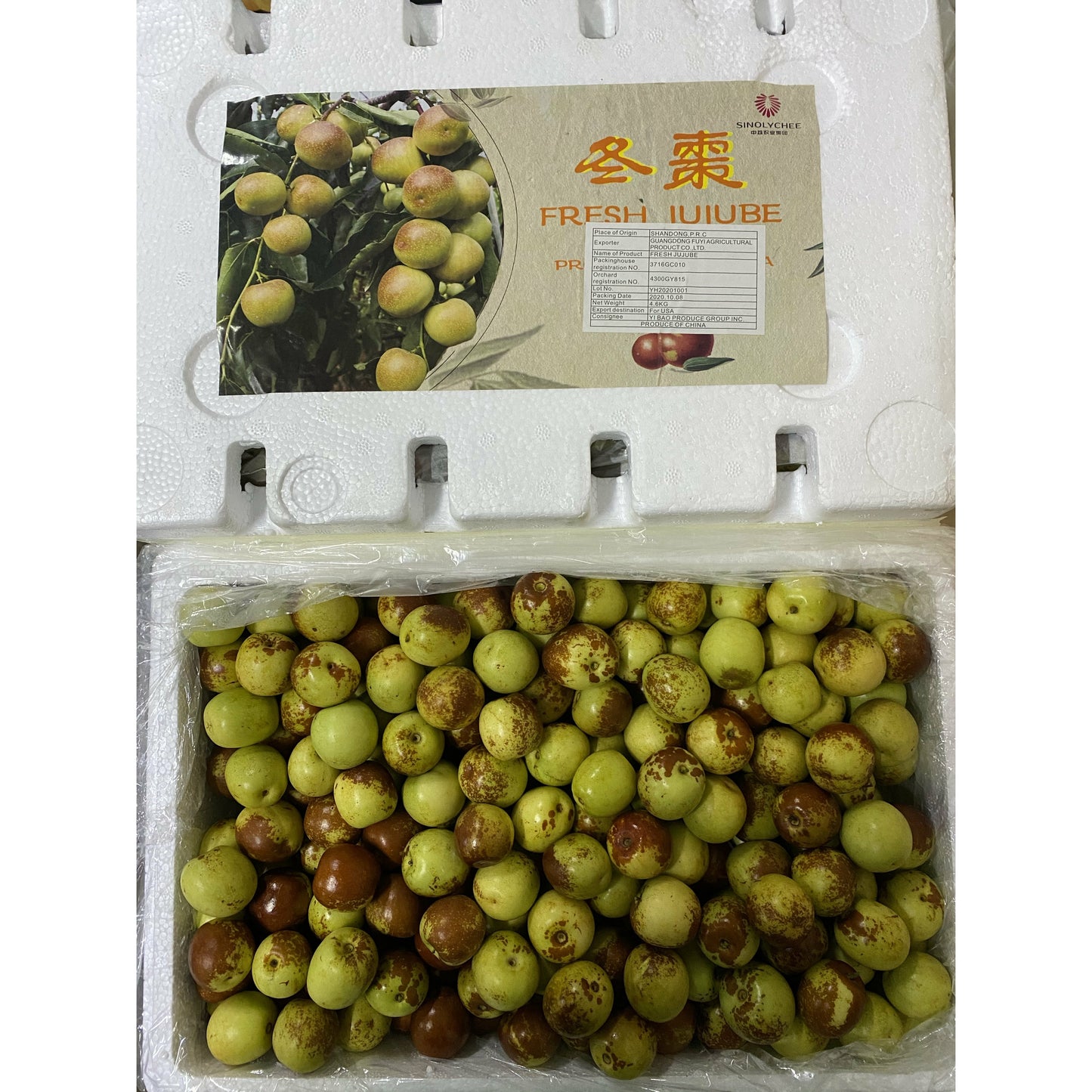 Fresh winter jujubes About 10 lbs/box