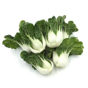 Vegetable - Cream Seedlings