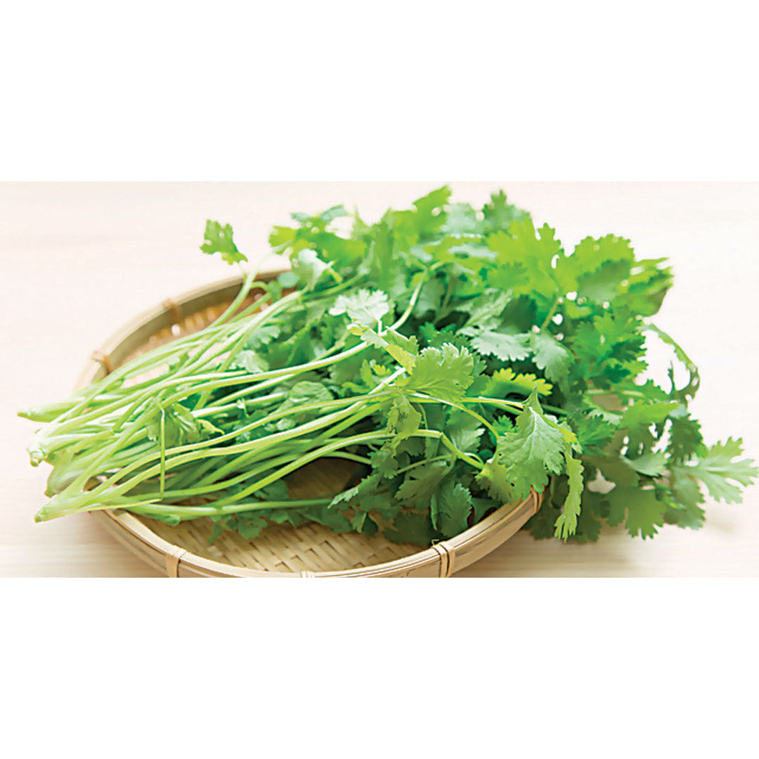 Vegetable - Cilantro
