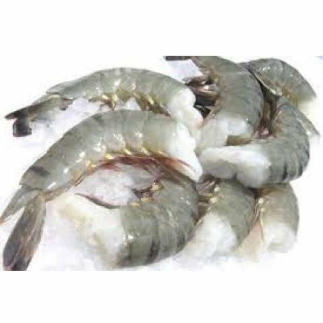16-20 Large Tiger Prawns 1 Box 4 Pounds