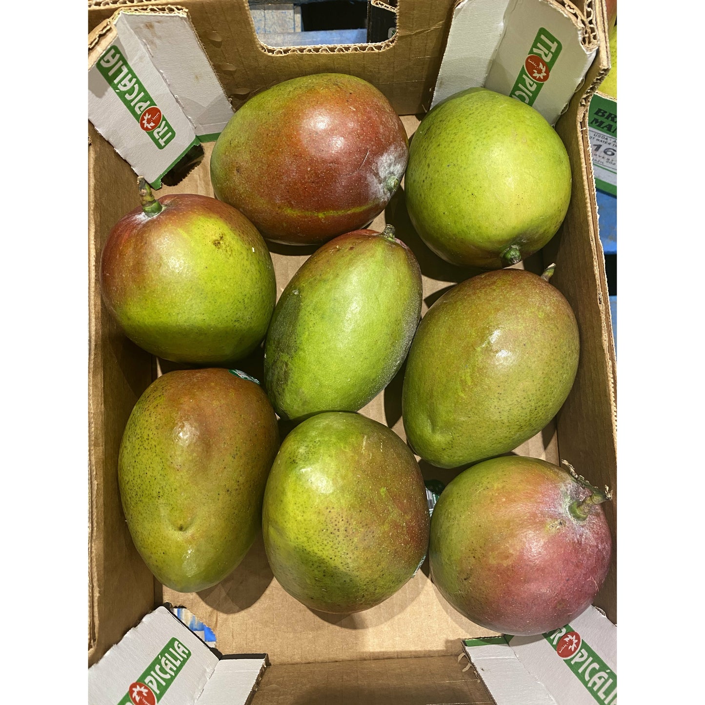 Apple Mango 6-9 Pieces/Box