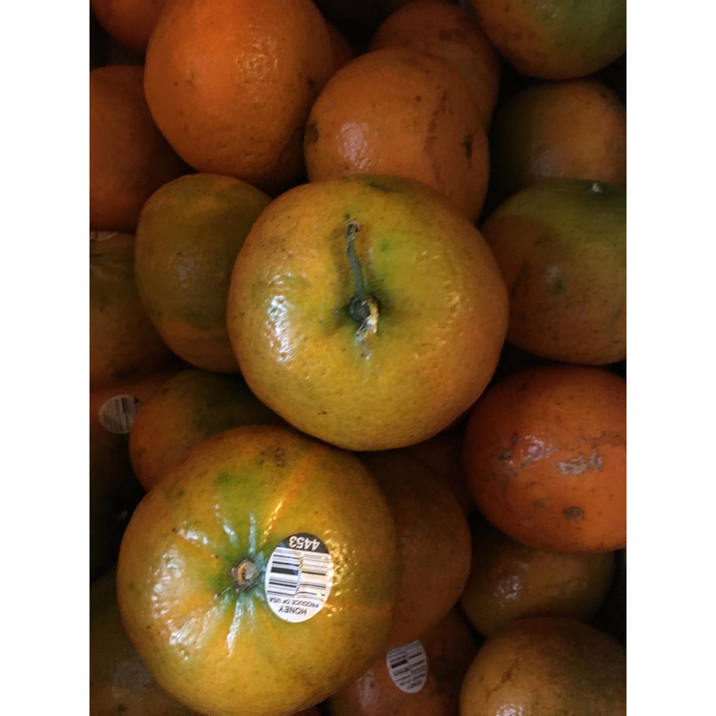 Florida Sweet Tangerines, about 4.5-5 lbs