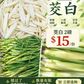 新鲜茭白，
