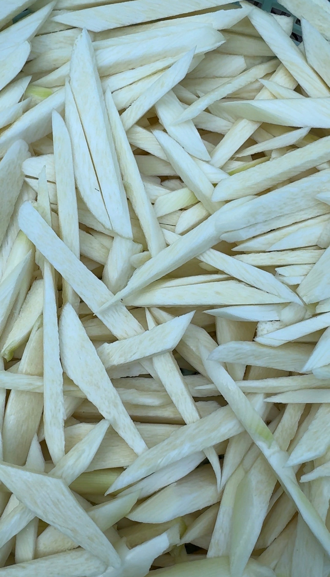 新鲜茭白，