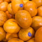 Super Sweet Israeli Tangerine ~ Orri, 5 lbs
