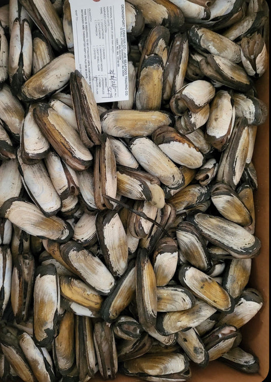 Canadian clams - about 2 pounds