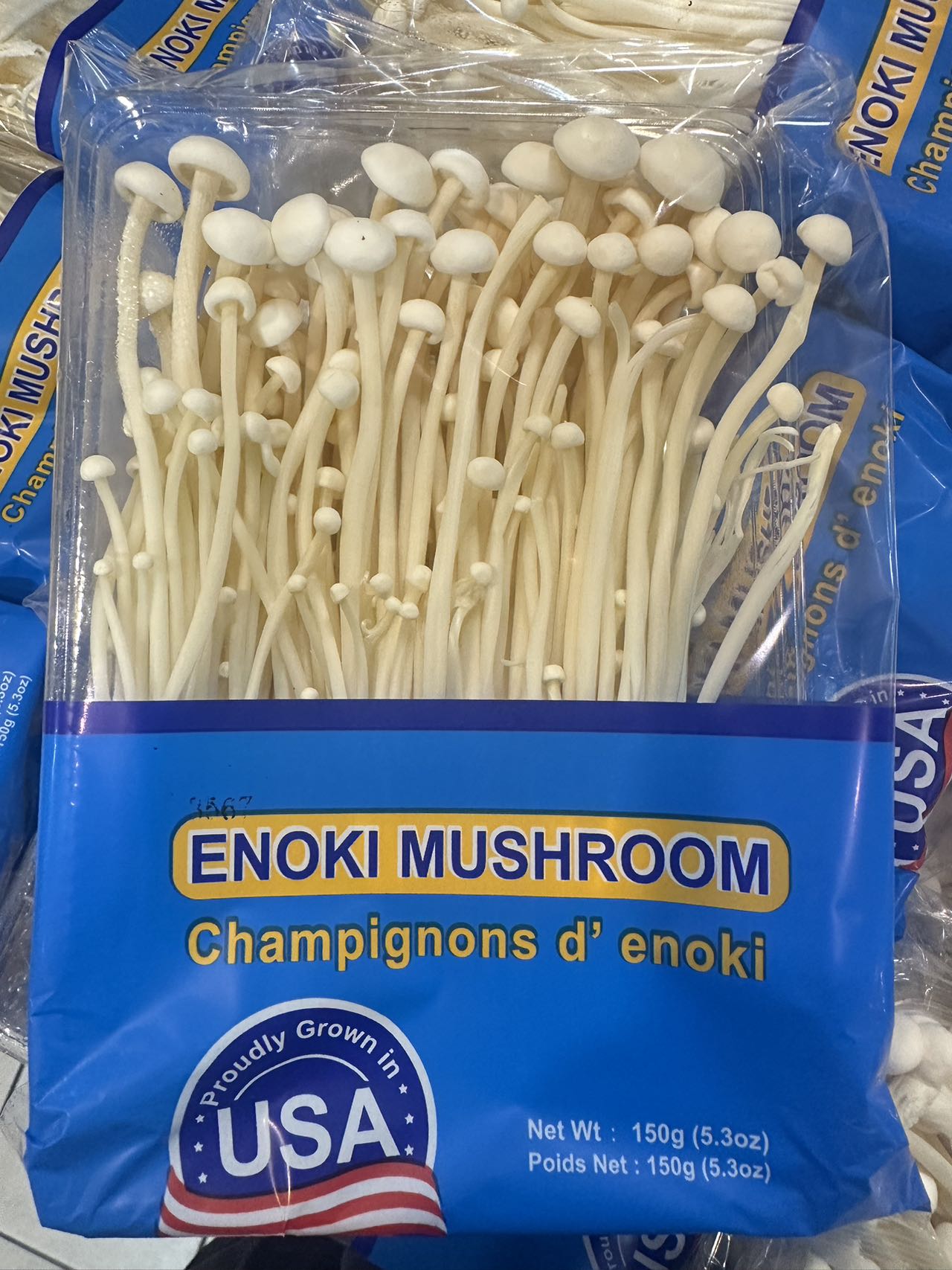 Mushroom-Enoki mushroom,