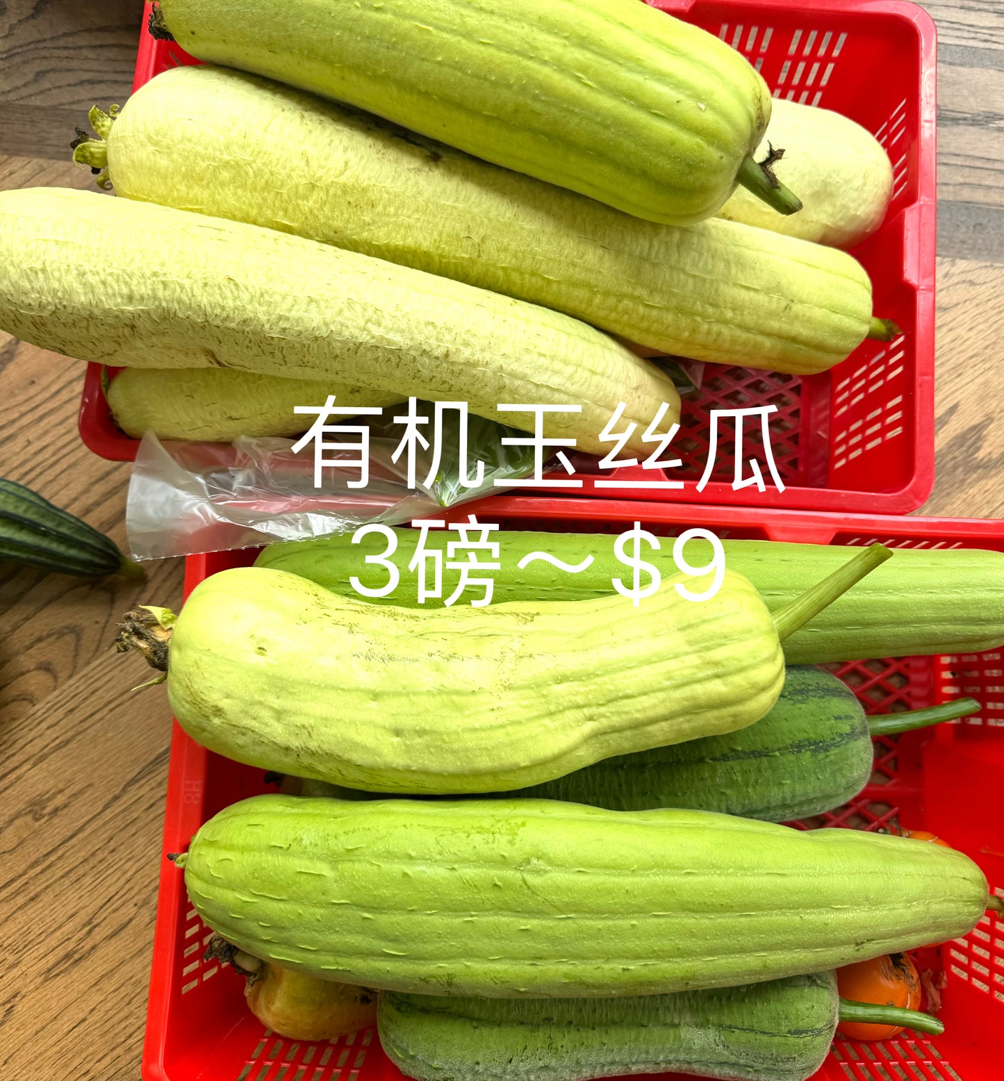 Taiwanese Loofah - [approximately 2 lbs]